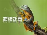 【人教版】七上生物  2.2.2 脊椎动物（二）两栖动物和爬行动物（课件+练习）