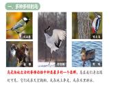 【人教版】七上生物  2.2.2 脊椎动物（三）鸟和哺乳动物（第1课时）（课件+练习）