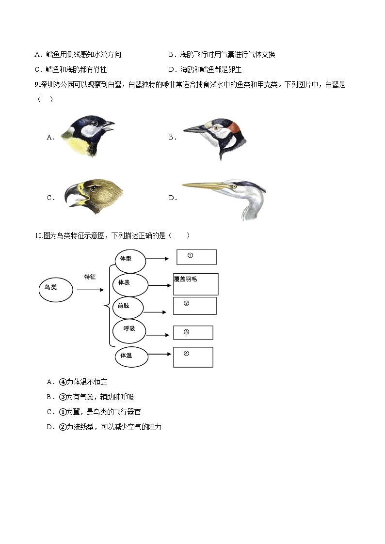 2.2.2 脊椎动物（三）鸟和哺乳动物（第1课时）（分层培优练）（原卷版）第2页