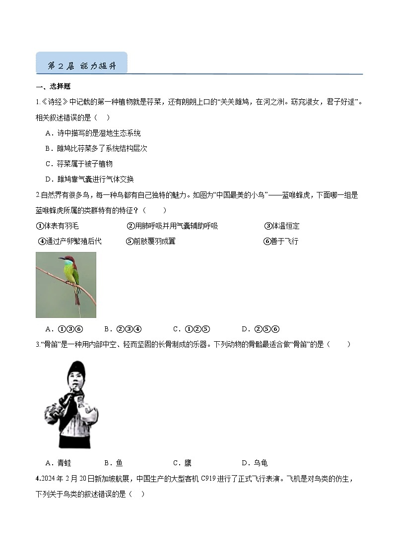 2.2.2 脊椎动物（三）鸟和哺乳动物（第1课时）（分层培优练）（原卷版）第3页