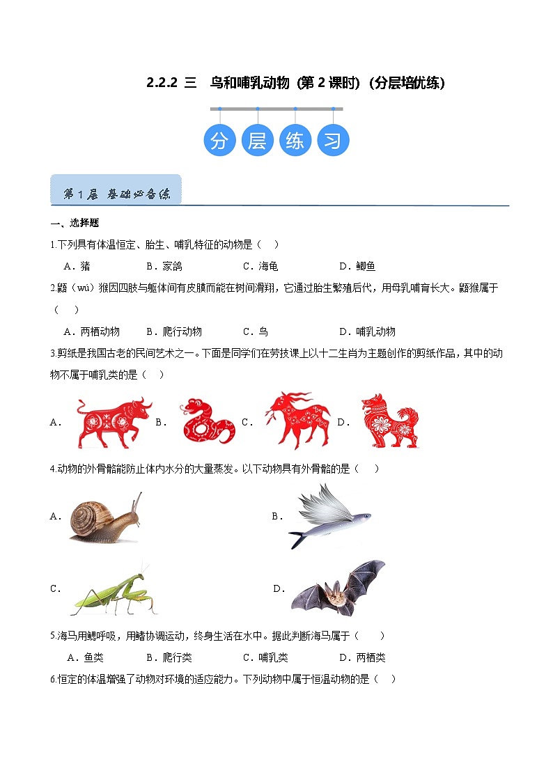 2.2.2 脊椎动物（三）鸟和哺乳动物（第2课时）（分层培优练）（原卷版）第1页