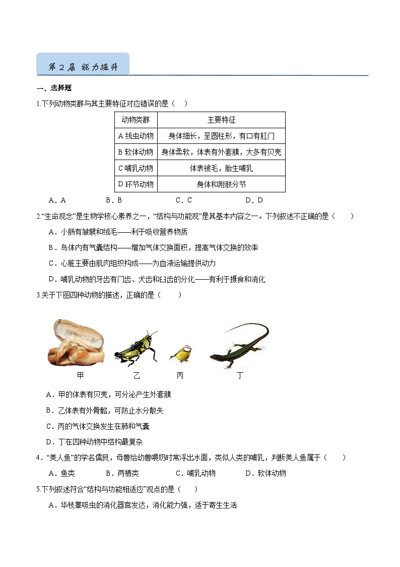 2.2.2 脊椎动物（三）鸟和哺乳动物（第2课时）（分层培优练）（原卷版）第3页