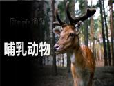 【人教版】七上生物  2.2.2 脊椎动物（三）鸟和哺乳动物（第2课时）（课件+练习）
