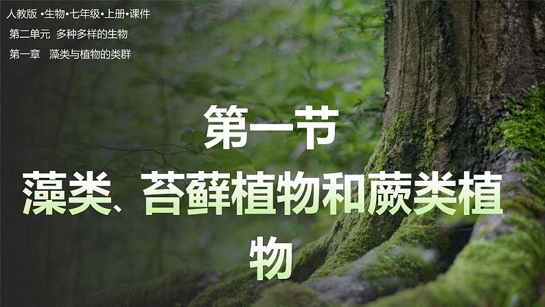 2.1.1 藻类、苔藓植物和蕨类植物 第1页