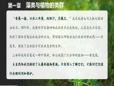 【人教版】七上生物  2.1.1 藻类、苔藓和蕨类（课件+练习）