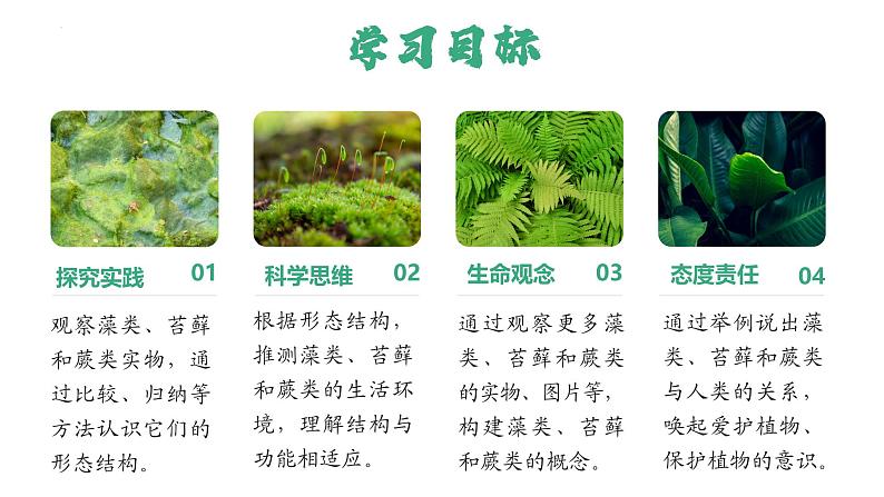 2.1.1 藻类、苔藓植物和蕨类植物 第3页