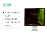 【人教版】七上生物  2.1.1 藻类、苔藓和蕨类（课件+练习）
