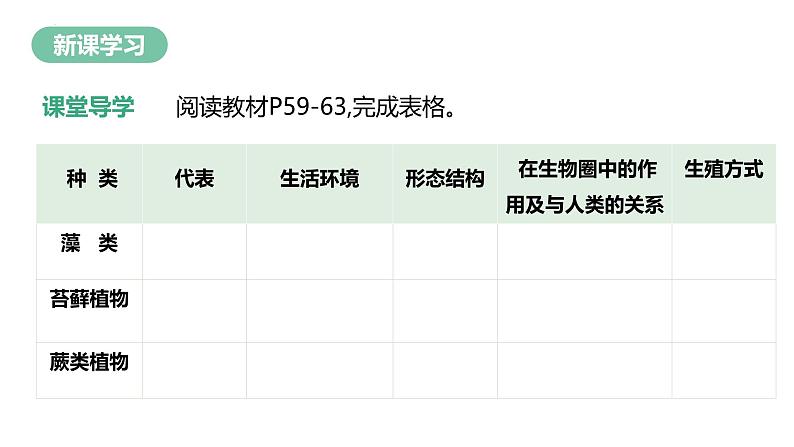 2.1.1 藻类、苔藓植物和蕨类植物 第6页