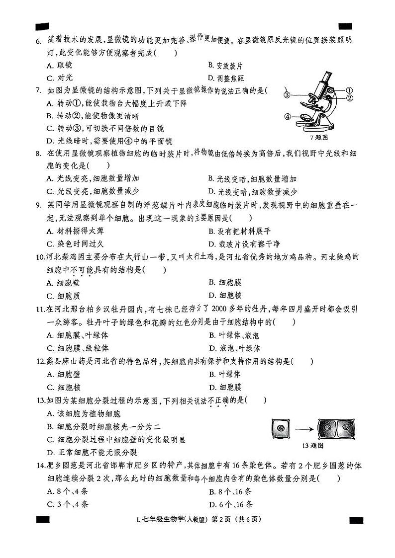 河北省唐山市滦州市2024-2025学年七年级上学期11月期中生物试题第2页