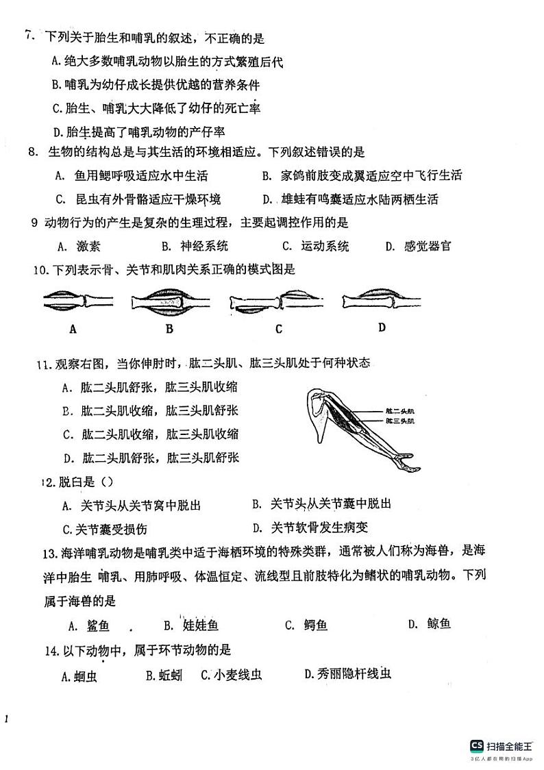 天津市西青区当城中学2024-2025学年八年级上学期期中考试生物试题第2页