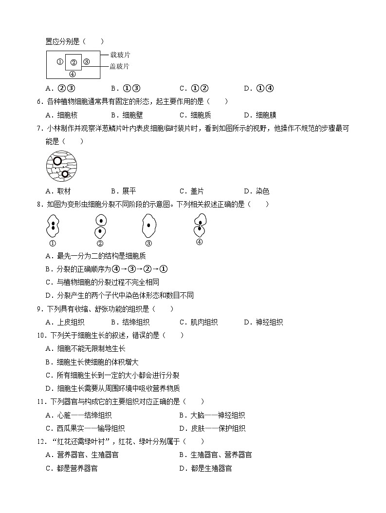 辽宁省朝阳市凌源市2024-2025学年七年级上学期11月期中生物试卷第2页