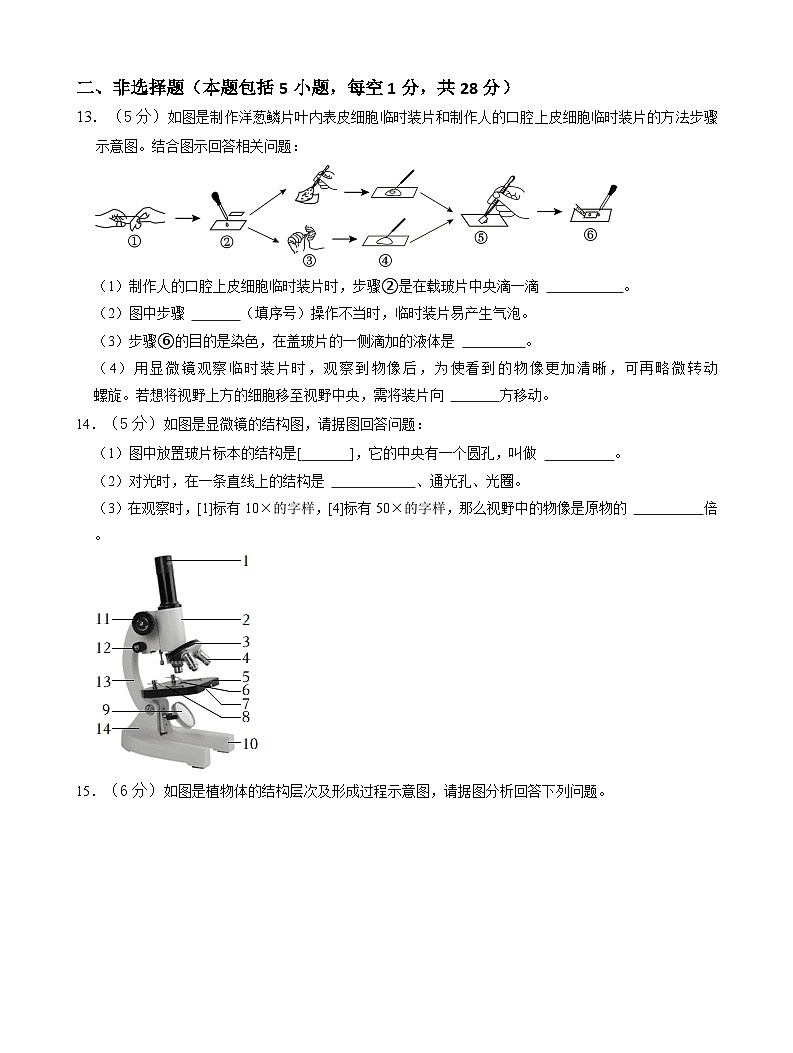 辽宁省朝阳市凌源市2024-2025学年七年级上学期11月期中生物试卷第3页