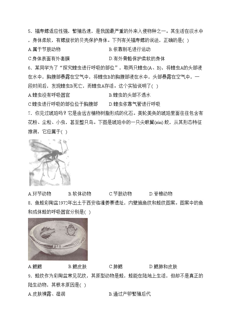 大同市第二中学2024-2025学年八年级上学期第一次月考生物试卷(含答案)第2页