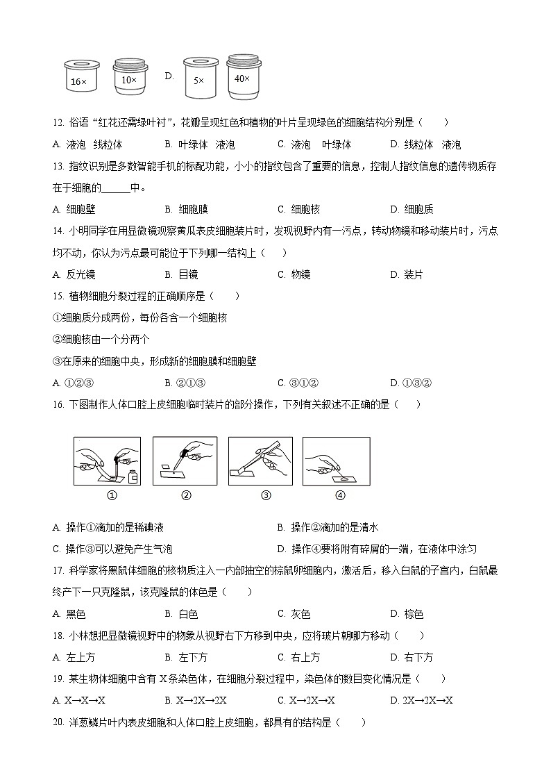 湖南省怀化市通道县2024-2025学年七年级上学期期中生物试题（原卷版）-A4第3页