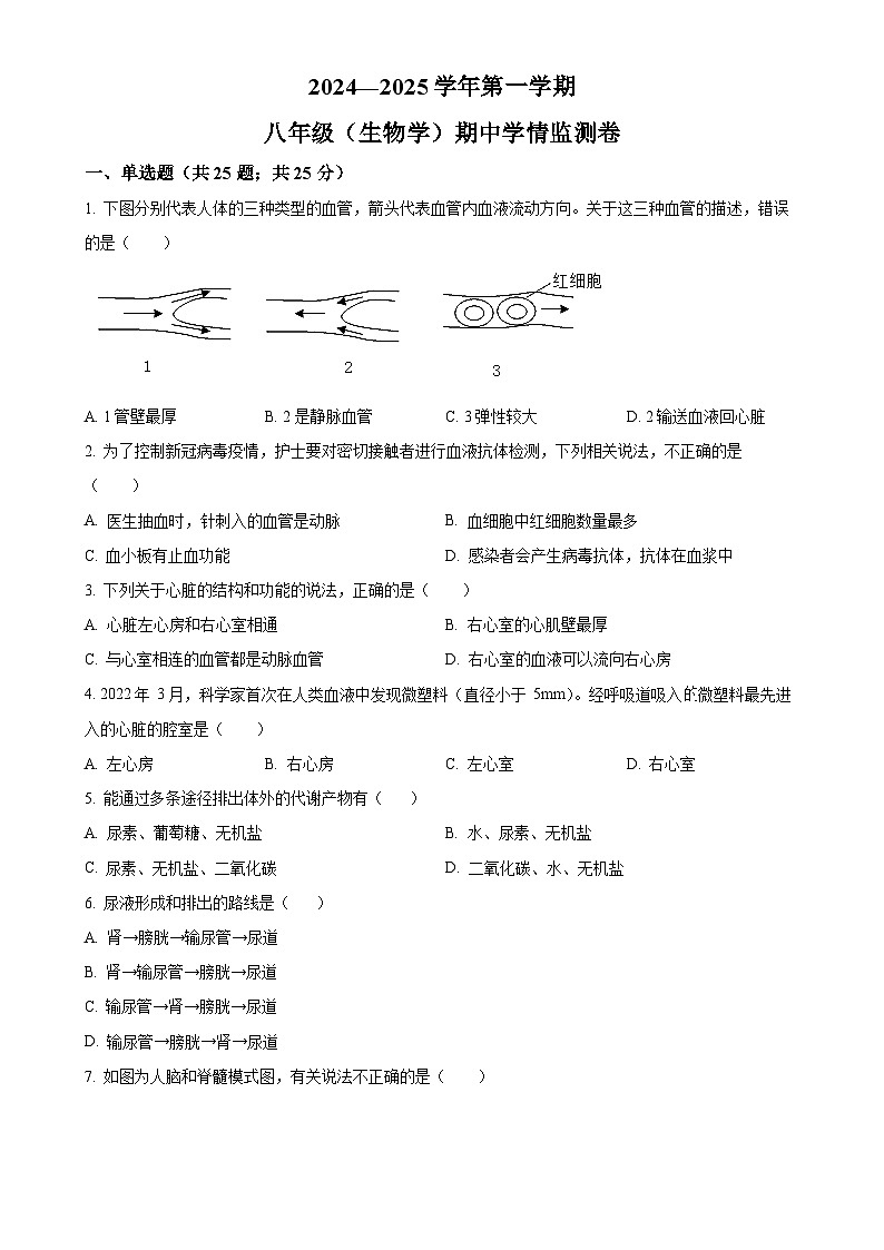 陕西省安康市汉滨高级中学2024-2025学年八年级上学期期中生物学试题（原卷版）-A4第1页