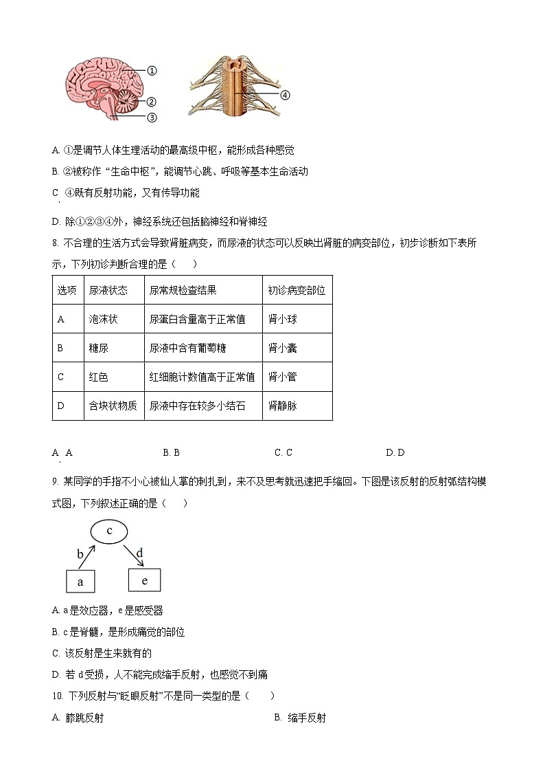 陕西省安康市汉滨高级中学2024-2025学年八年级上学期期中生物学试题（原卷版）-A4第2页