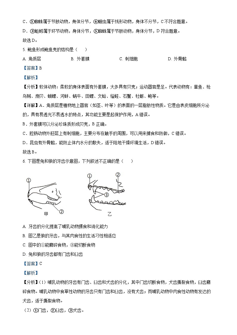 福建省厦门市集美区灌口中学（福建省厦门第一中学集美分校）2024-2025学年八年级上学期期中生物学试题（解析版）-A4第3页