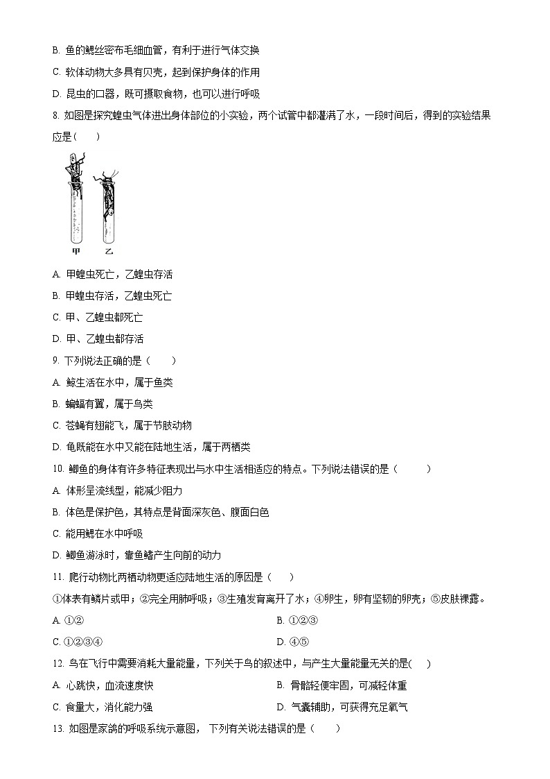 福建省厦门市集美区灌口中学（福建省厦门第一中学集美分校）2024-2025学年八年级上学期期中生物学试题（原卷版）-A4第2页