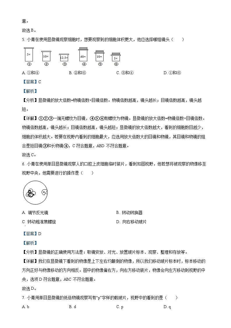 湖南省长沙市开福区青竹湖湘一外国语学校2024-2025学年七年级上学期期中生物学试题（解析版）-A4第3页