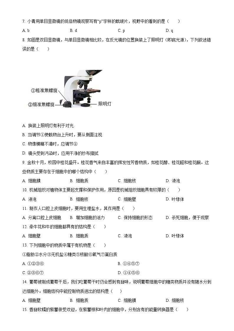 湖南省长沙市开福区青竹湖湘一外国语学校2024-2025学年七年级上学期期中生物学试题（原卷版）-A4第2页
