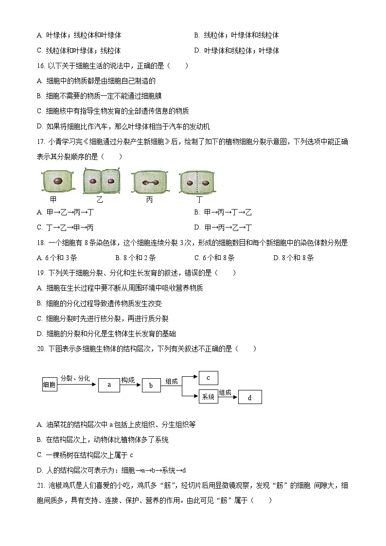 湖南省长沙市开福区青竹湖湘一外国语学校2024-2025学年七年级上学期期中生物学试题（原卷版）-A4第3页