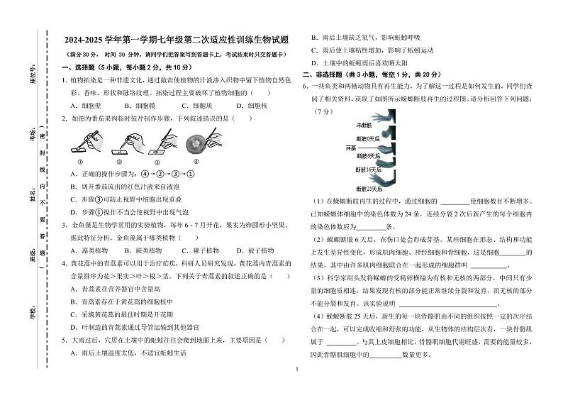 2024-2025学年第一学期七年级生物联考卷第1页