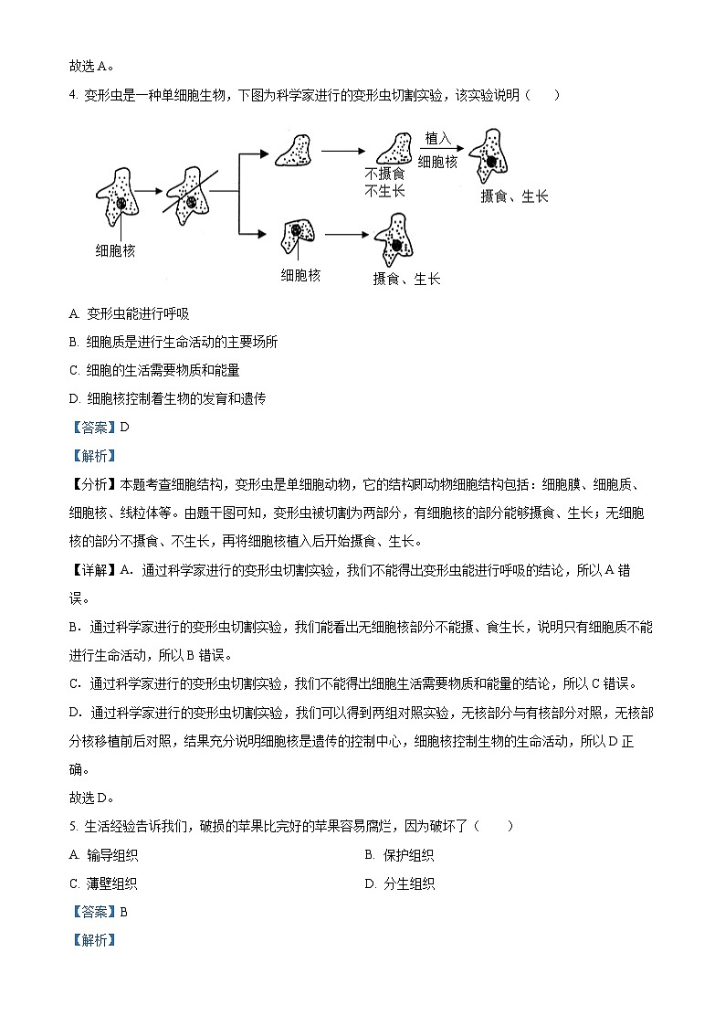 辽宁省锦州市黑山县2024-2025学年七年级上学期期中生物学试题（解析版）-A4第3页