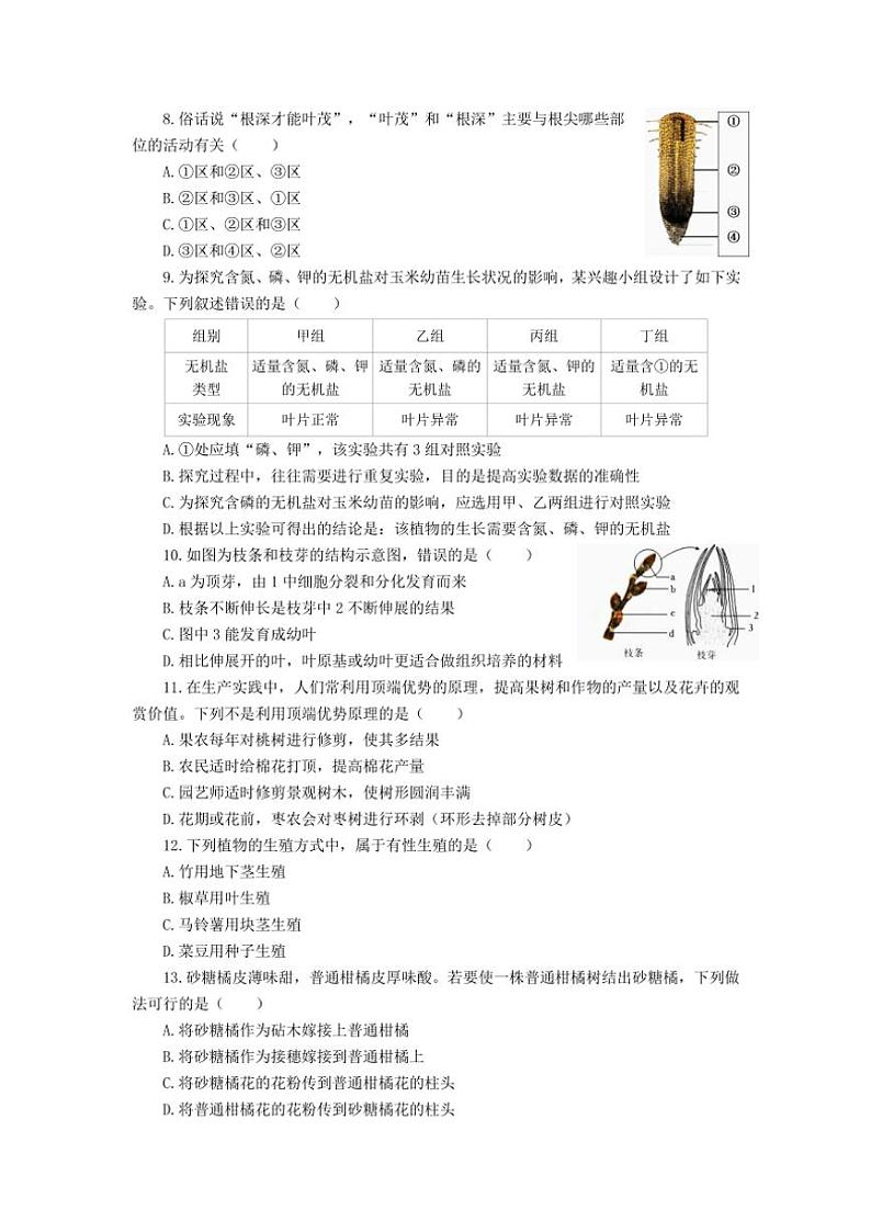 山东省滨州市滨城区2024～2025学年八年级(上)期中生物试卷(含答案)第2页