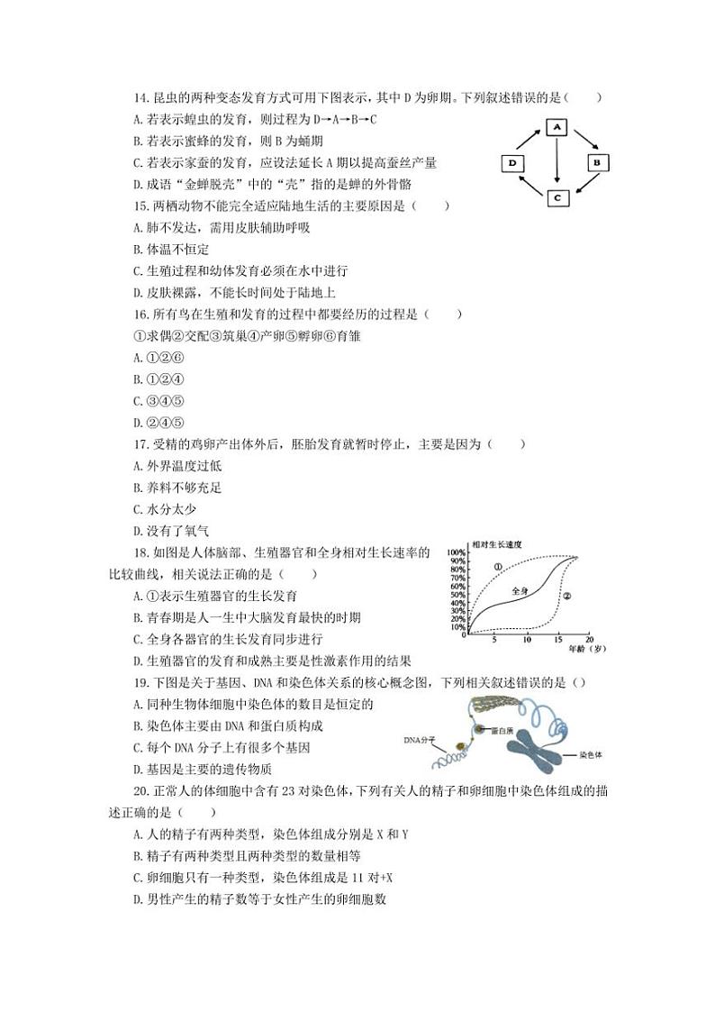 山东省滨州市滨城区2024～2025学年八年级(上)期中生物试卷(含答案)第3页