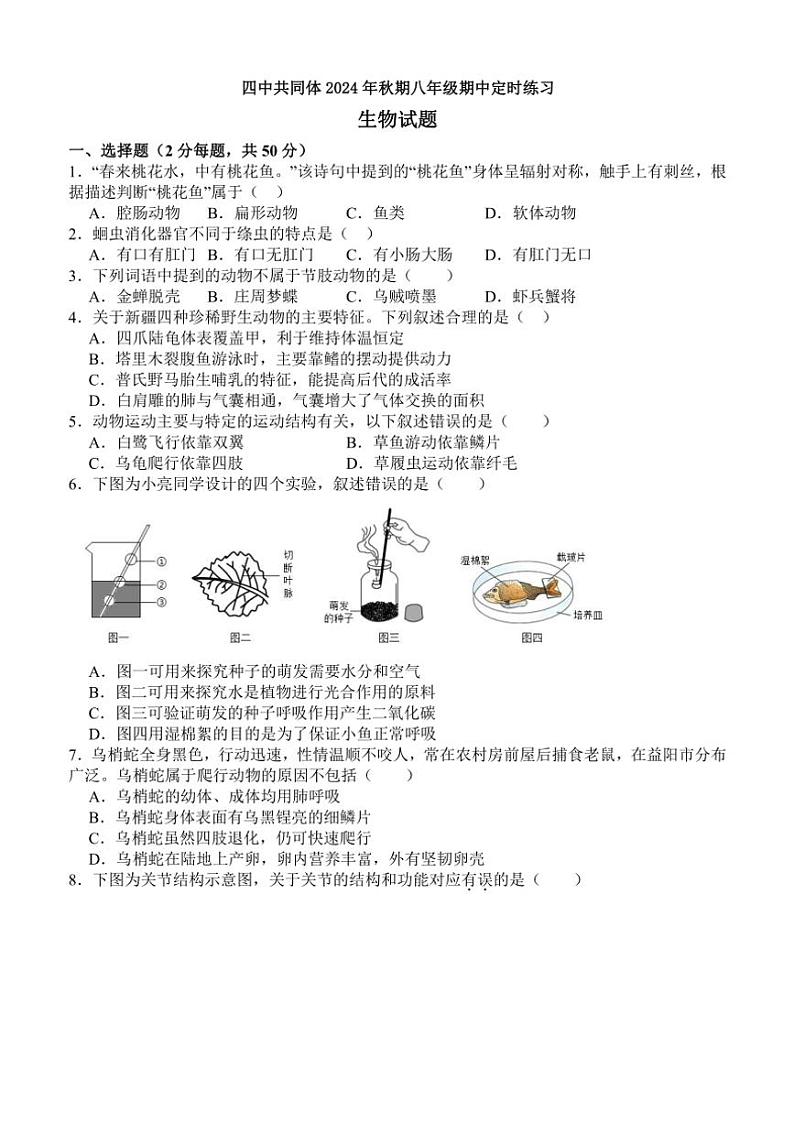 四川省泸州市泸县四中教育共同体2024～2025学年八年级(上)期中生物试卷(含答案)第1页