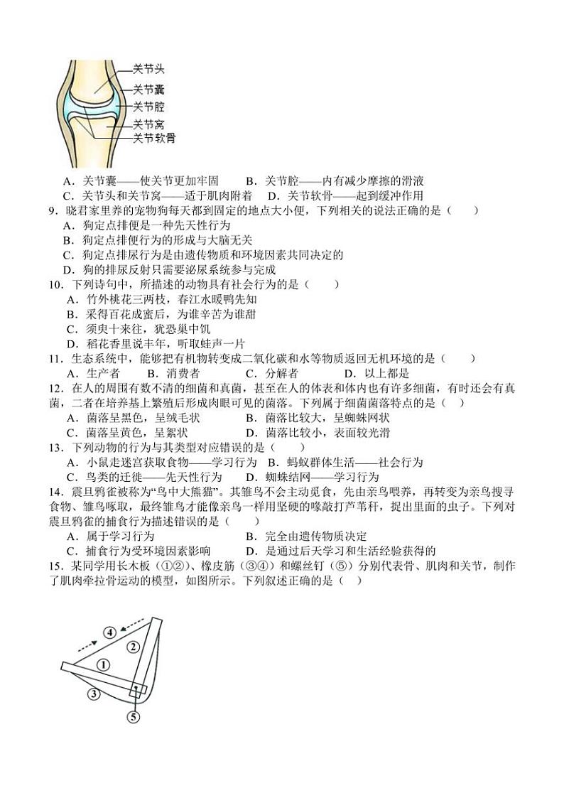 四川省泸州市泸县四中教育共同体2024～2025学年八年级(上)期中生物试卷(含答案)第2页