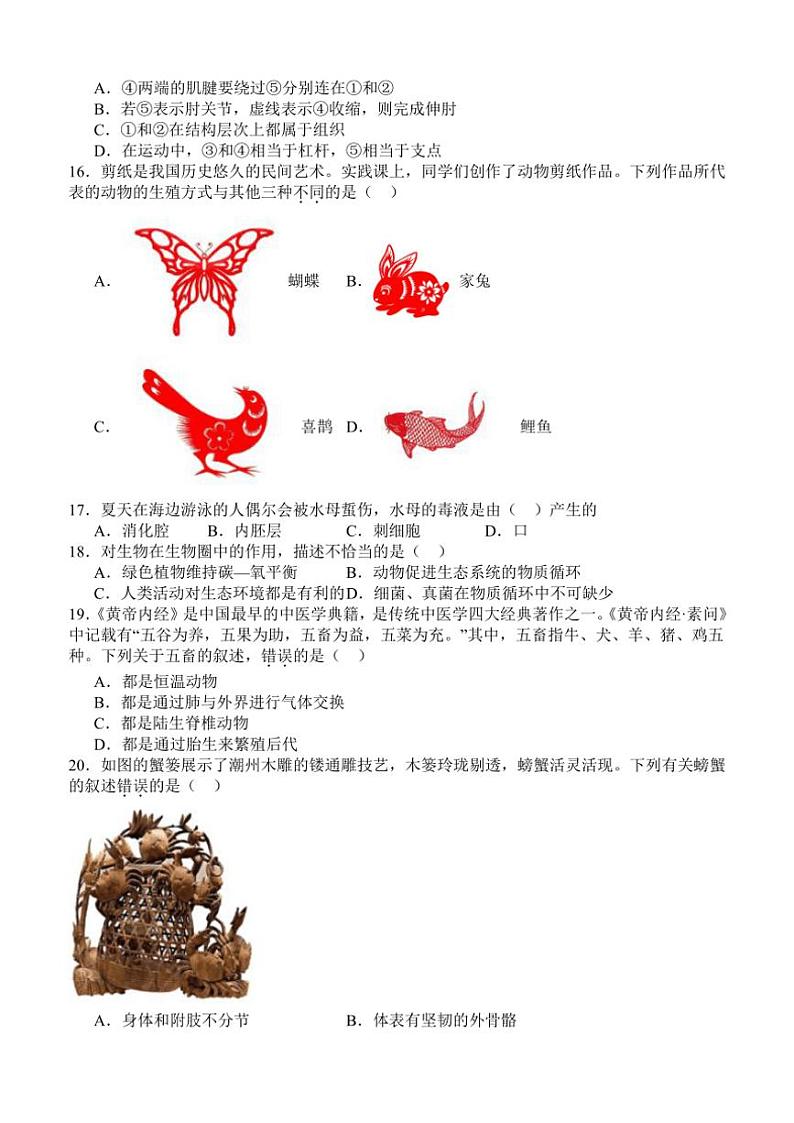 四川省泸州市泸县四中教育共同体2024～2025学年八年级(上)期中生物试卷(含答案)第3页