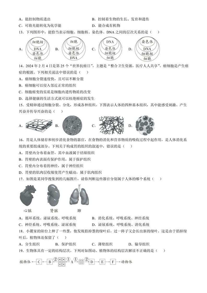 贵州省六盘水市2024～2025学年七年级(上)期中生物试卷(含答案)第3页