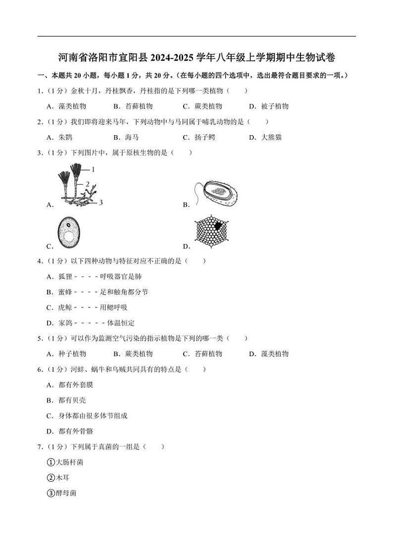 河南省洛阳市宜阳县2024～2025学年八年级(上)期中生物试卷(含解析)第1页