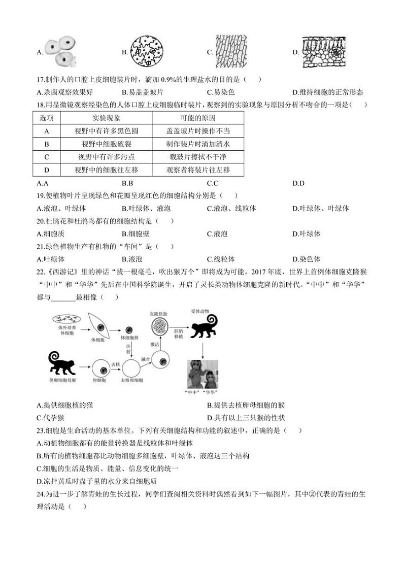 广东省茂名市第一中学2024～2025学年七年级(上)期中生物试卷(含答案)第3页