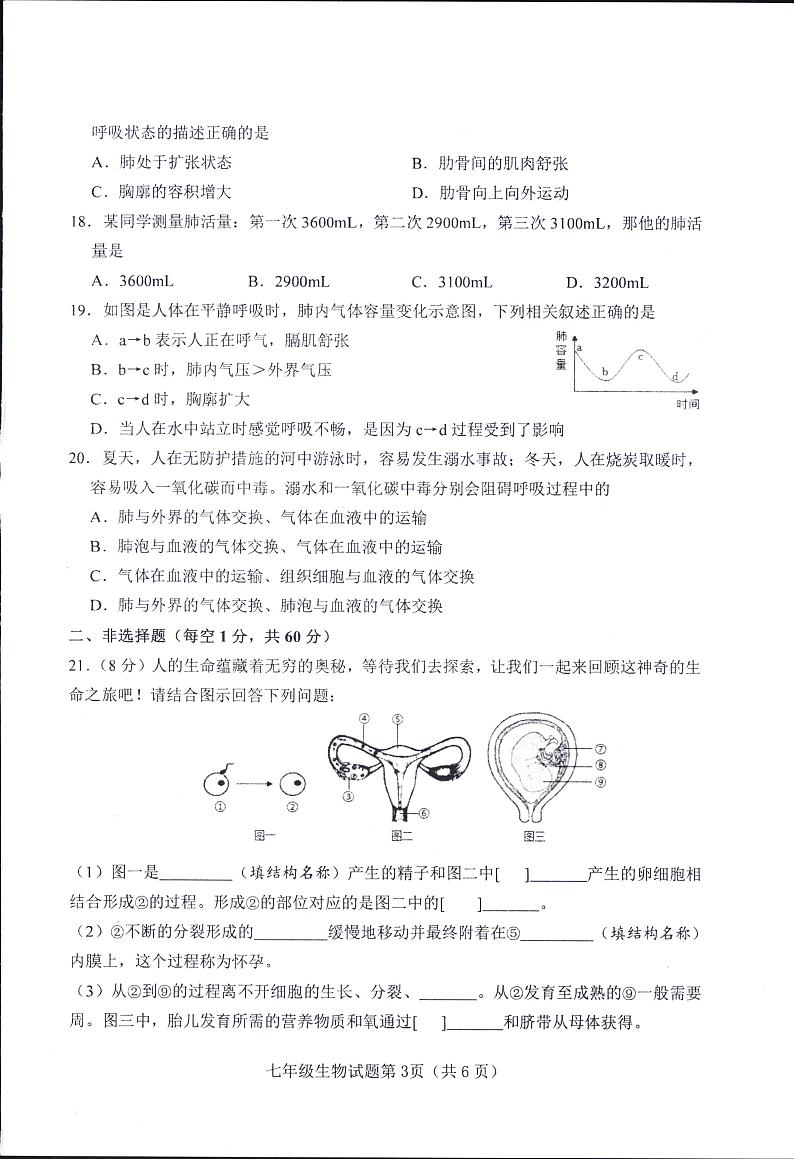 山东省淄博市周村区（五四制）2024-2025学年七年级上学期期中考试生物试题（含答案）第2页