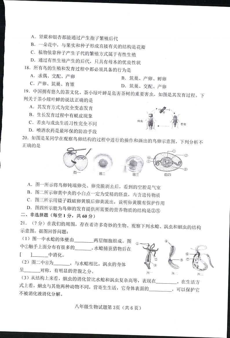 山东省淄博市周村区（五四制）2024-2025学年八年级上学期期中考试生物试题（含答案）第2页