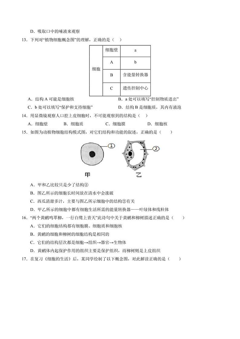四川省德阳市第二中学2024-2025学年七年级上学期期中考试生物试题第3页