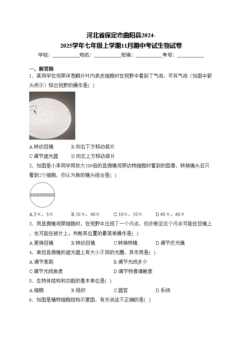河北省保定市曲阳县2024-2025学年七年级上学期11月期中考试生物试卷(含答案)第1页