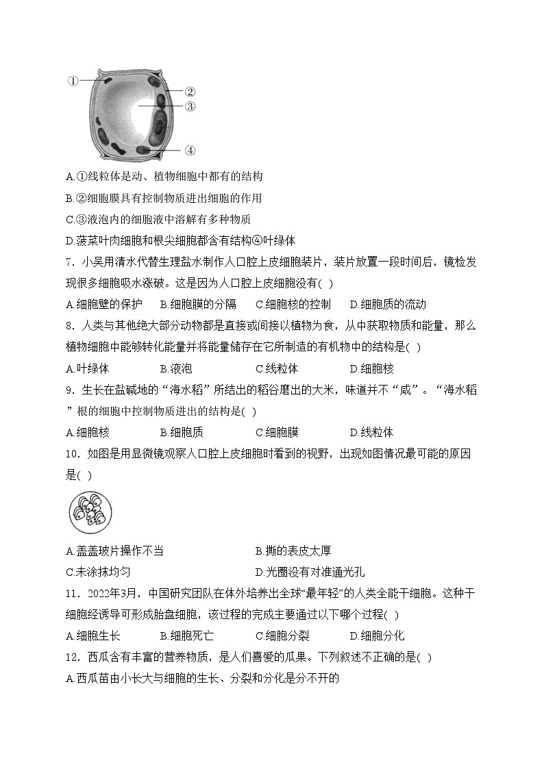 河北省保定市曲阳县2024-2025学年七年级上学期11月期中考试生物试卷(含答案)第2页