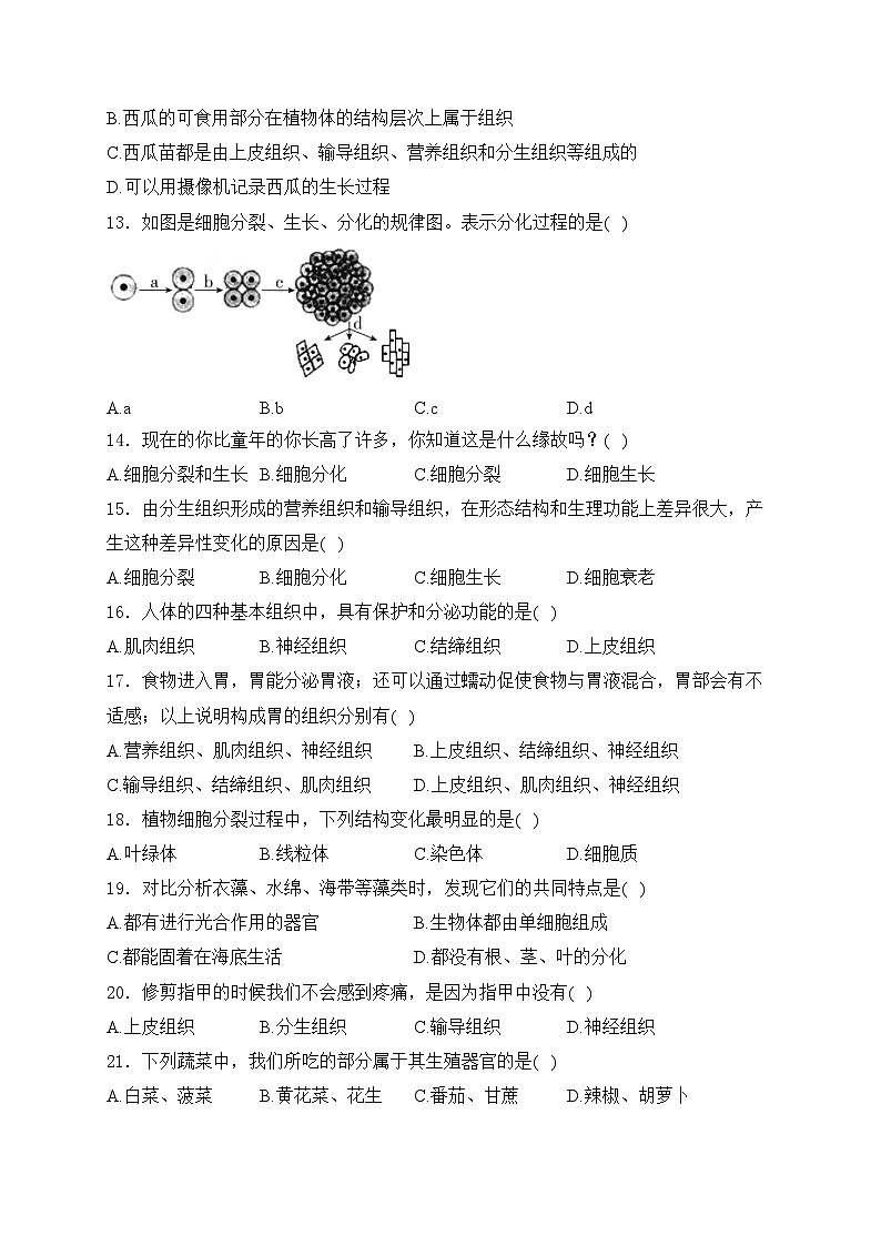 河北省保定市曲阳县2024-2025学年七年级上学期11月期中考试生物试卷(含答案)第3页
