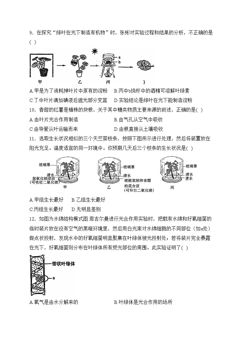 河北省承德市兴隆县2024-2025学年八年级上学期期中考试生物试卷(含答案)第3页