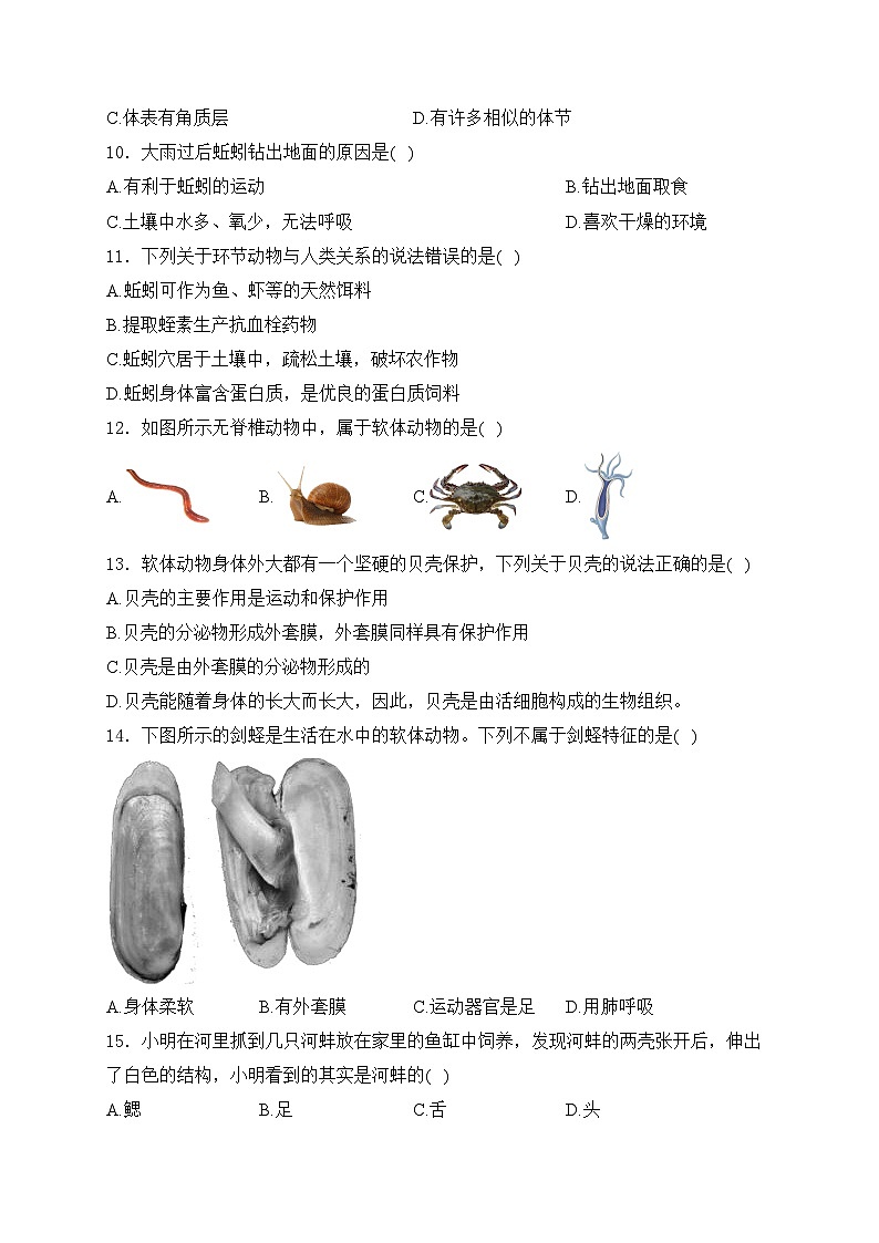 云南省昭通市昭阳区2024-2025学年八年级上学期10月月考生物试卷(含答案)第2页