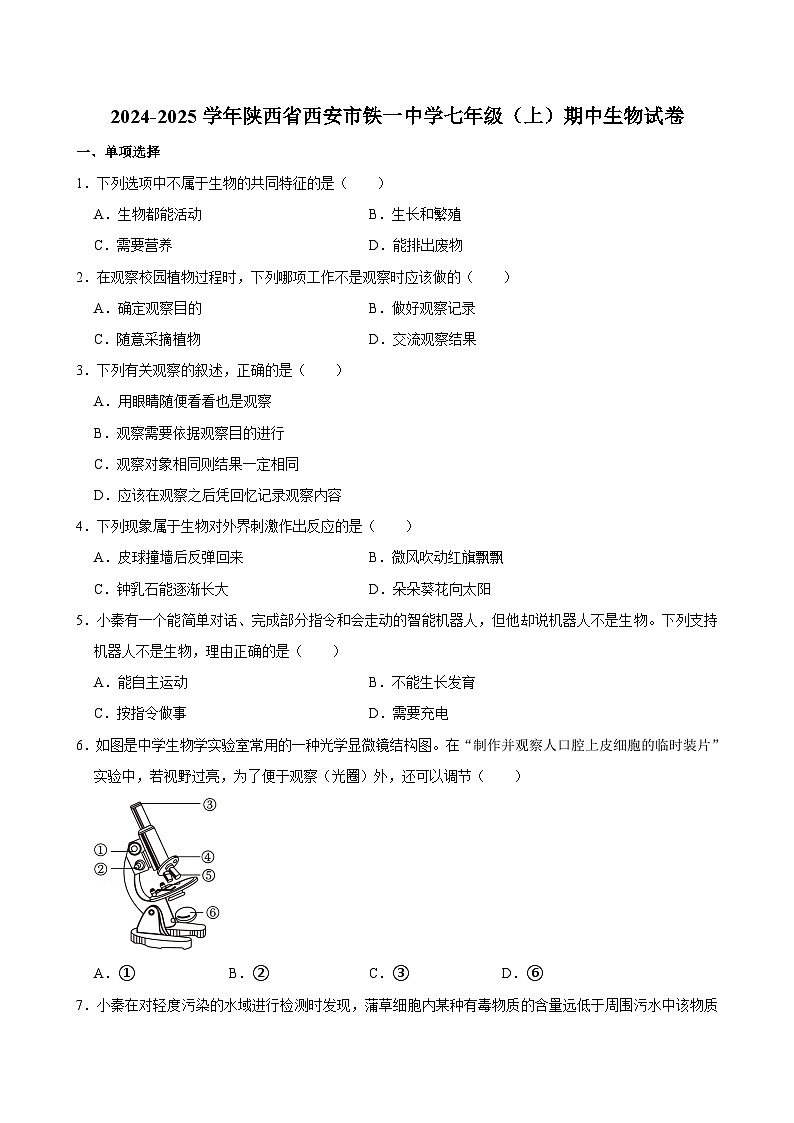 陕西省西安市铁一中学2024-2025学年七年级上学期期中考试生物试卷第1页