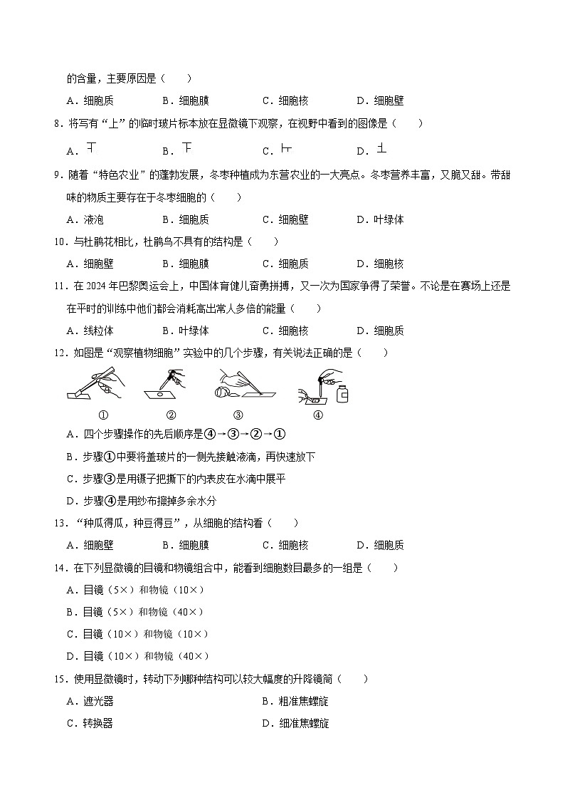 陕西省西安市铁一中学2024-2025学年七年级上学期期中考试生物试卷第2页