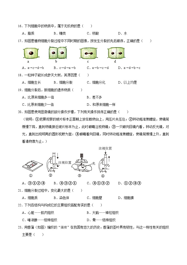 陕西省西安市铁一中学2024-2025学年七年级上学期期中考试生物试卷第3页