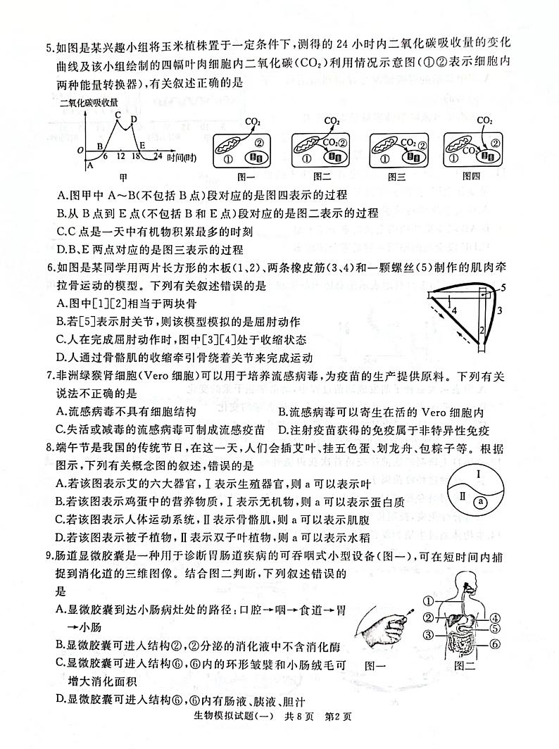 2024年山东省滕州市初中学业水平考试一生物模拟试卷第2页
