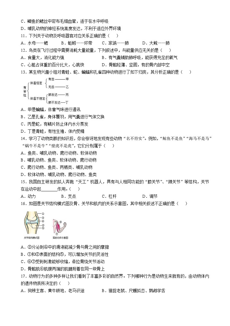 四川省眉山市天府新区2024-2025学年八年级上学期期中生物试题第2页