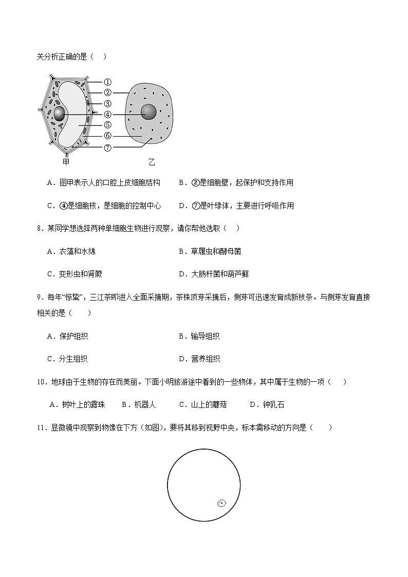 2024-2025学年七年级生物上学期期中测试卷二（含答案）第2页