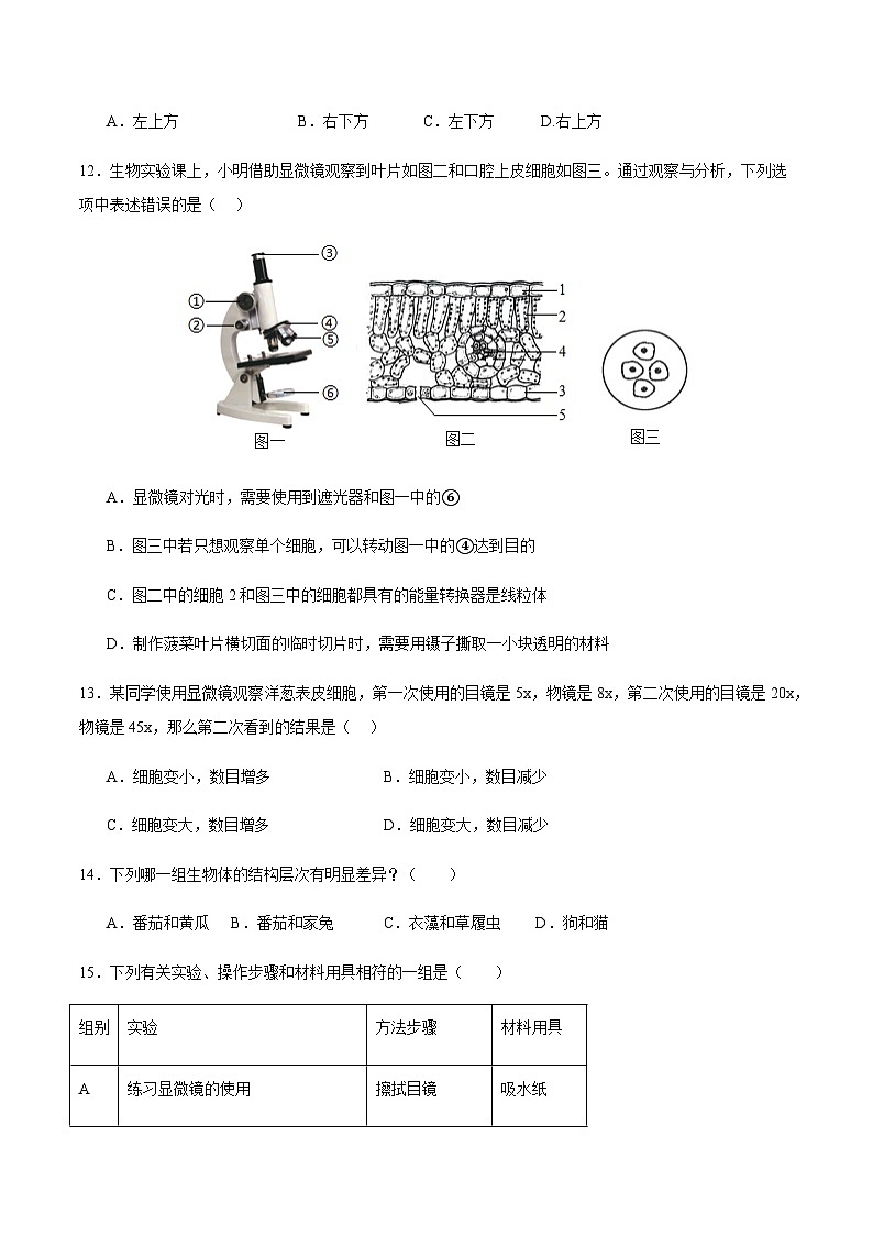 2024-2025学年七年级生物上学期期中测试卷二（含答案）第3页